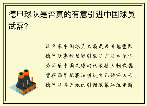德甲球队是否真的有意引进中国球员武磊？