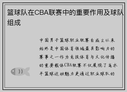 篮球队在CBA联赛中的重要作用及球队组成